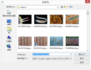 偏光顯微鏡攝像頭測(cè)量軟件imageview文件-保存詳解